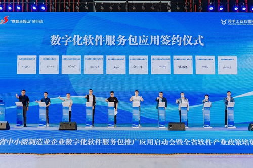 數(shù)字賦能 智造未來 安徽省中小微制造業(yè)企業(yè)數(shù)字化軟件服務(wù)包推廣應(yīng)用在馬鞍山啟動(dòng)